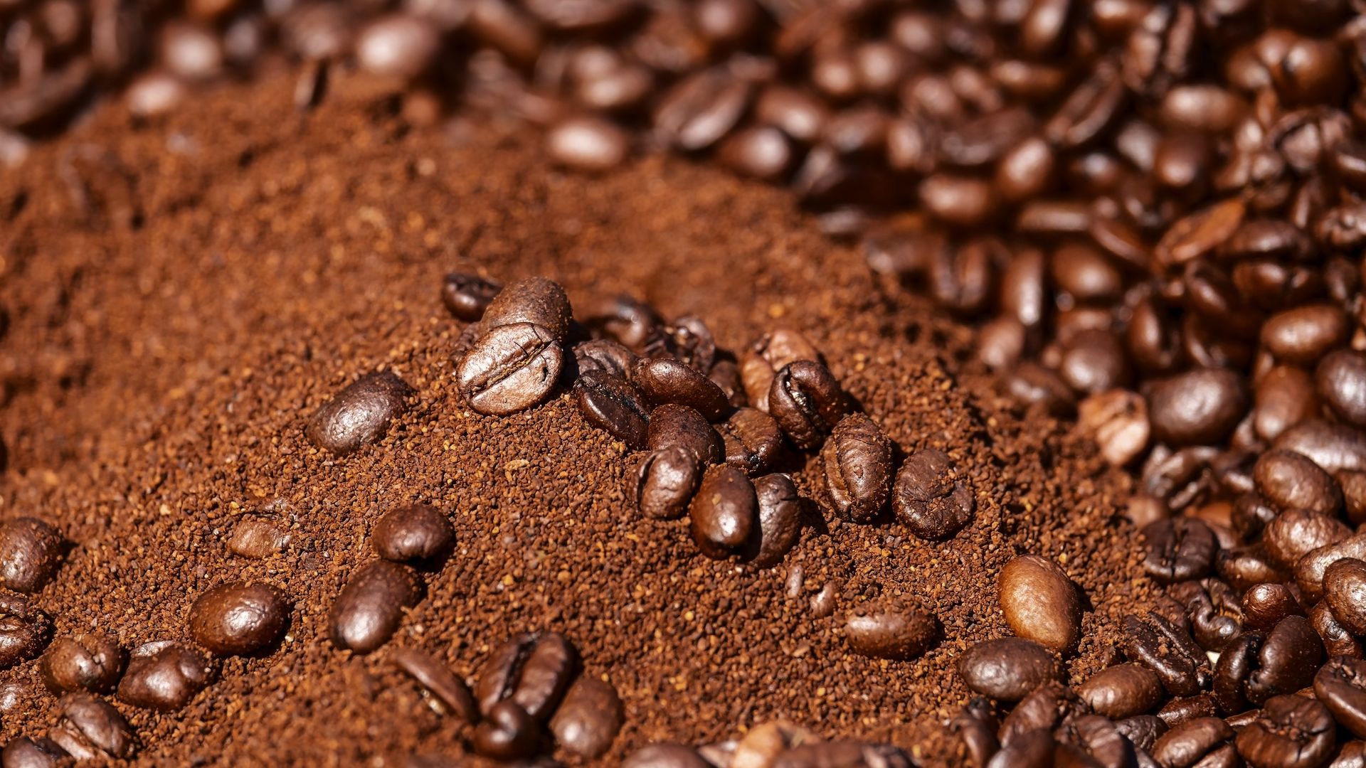Do Coffee Grounds Really Repel Ants?