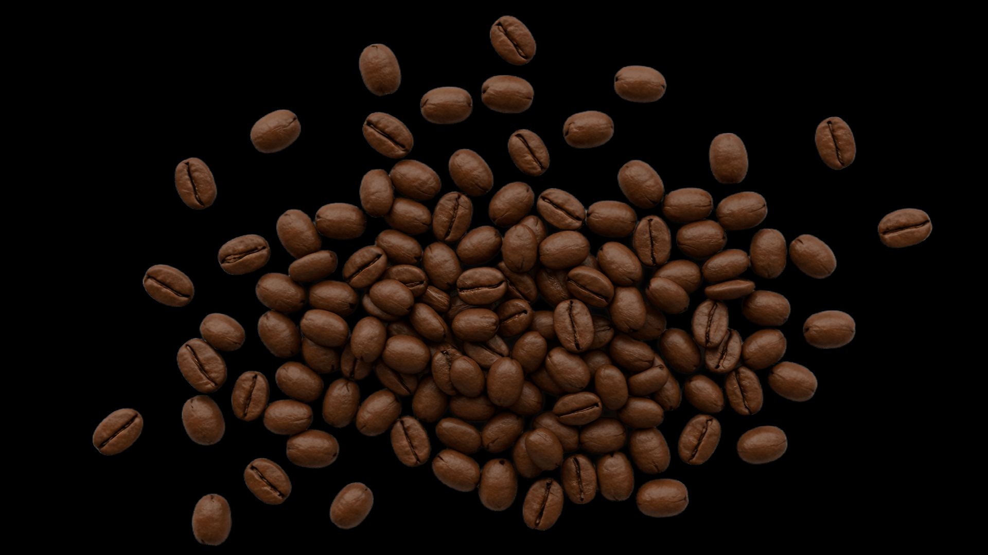 Which coffee beans have the most caffeine