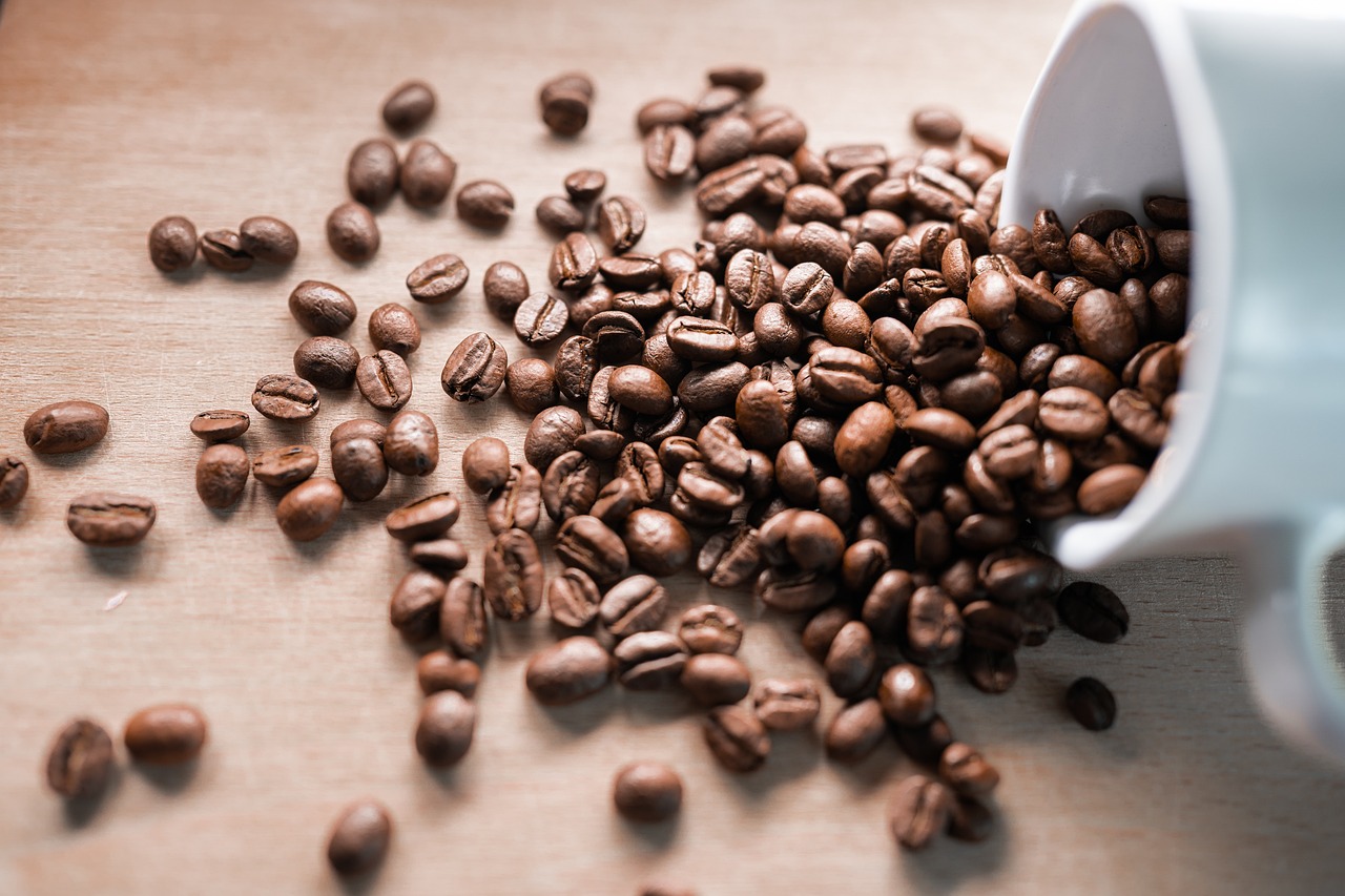 ☕ What Is a Coffee Bean and How Does It Get to Your Cup?